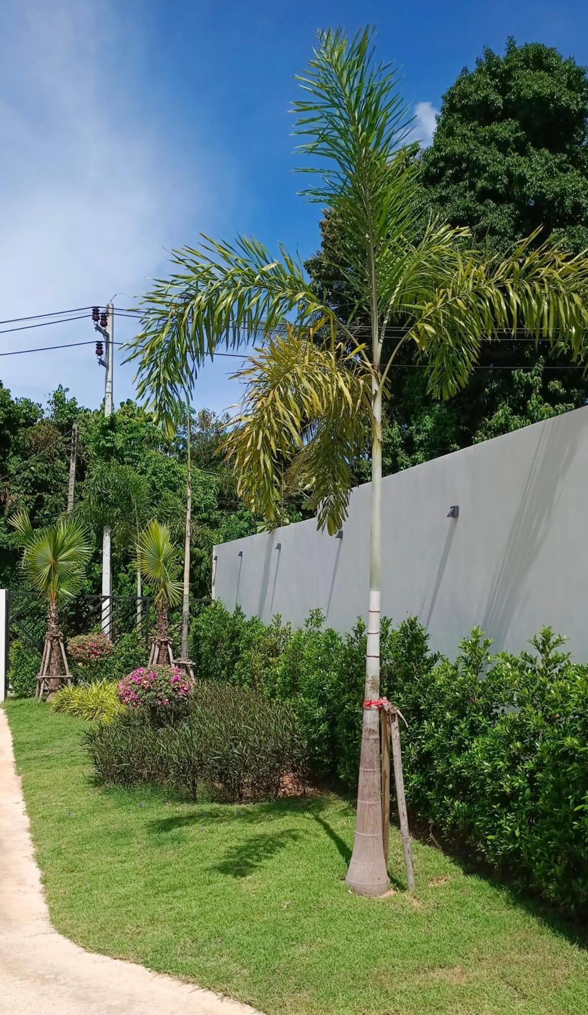 Manee Jasmine Pool Villa, Bangrak, Bo Phut, Fisherman's Village Villa *